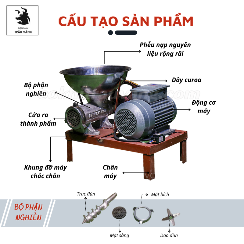 cấu tạo