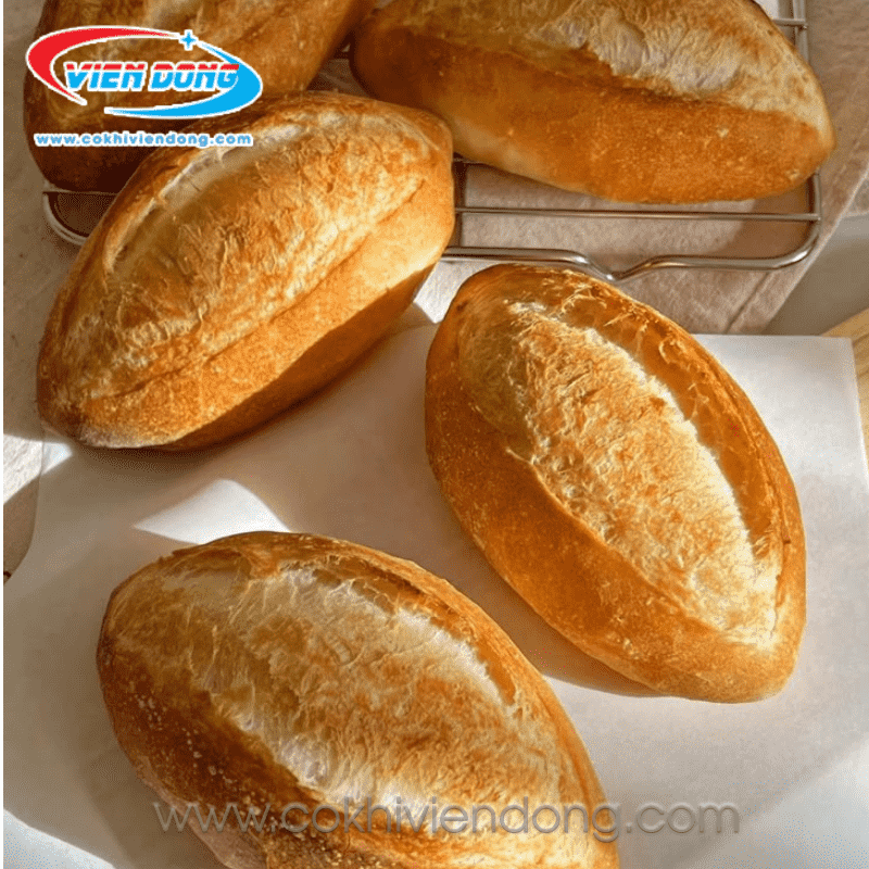 lò nướng bánh mì đối lưu